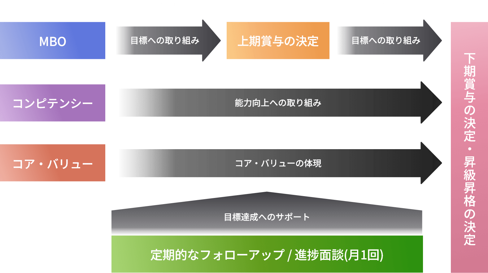 評価・給与システムの運用イメージ